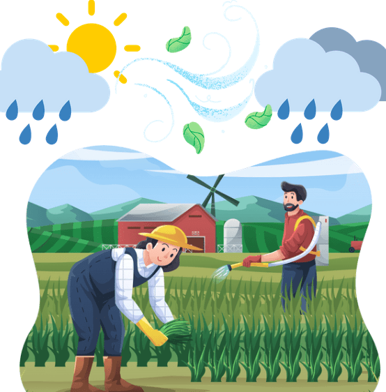 Petani Hortikultura Fokus Jaga Kualitas Panen di Tengah Perubahan Cuaca