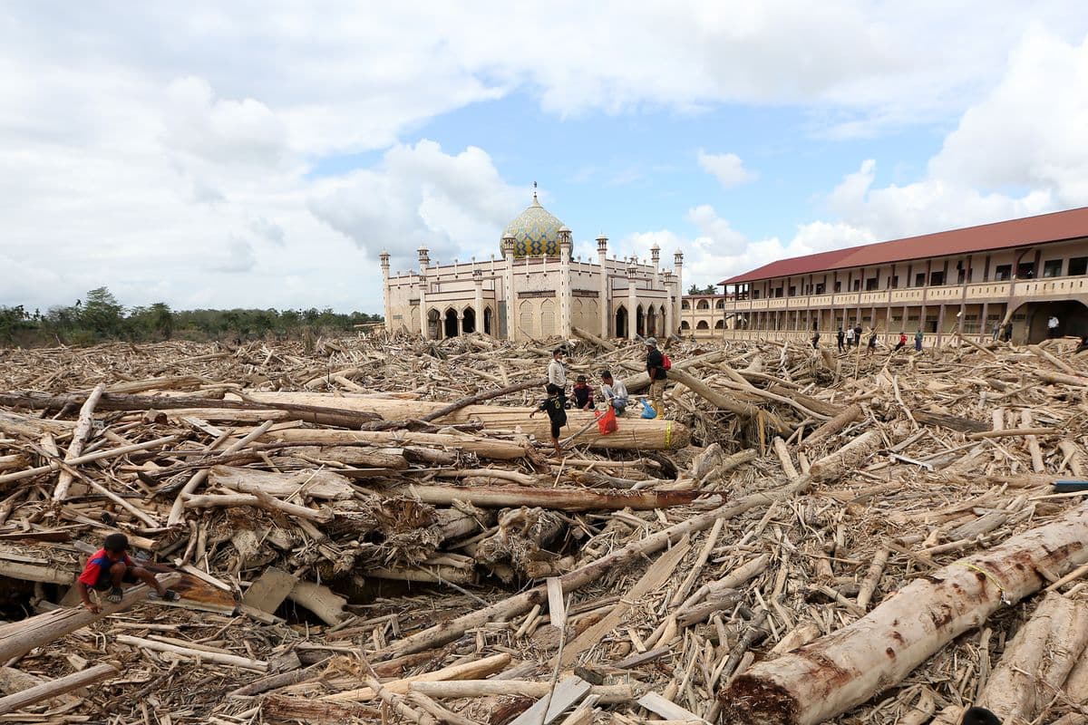 Bupati Aceh Tamiang Minta Kepastian Penanganan Tumpukan Kayu Banjir
